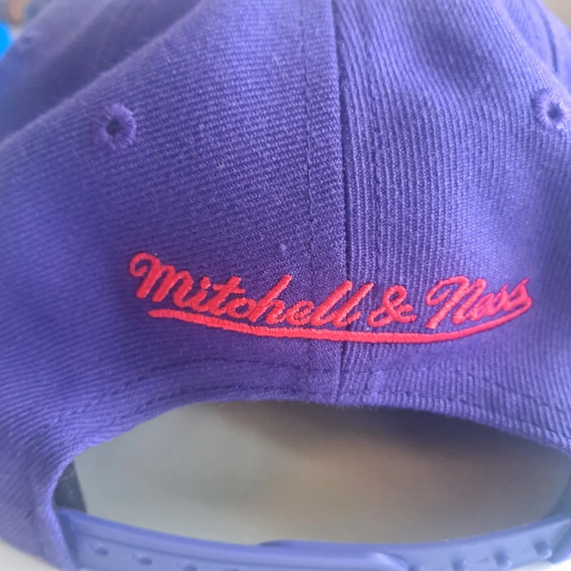 Mitchell & Ness Toronto Raptors Snapback – Panel Edition