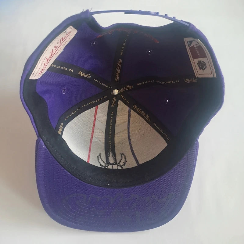 Mitchell & Ness Toronto Raptors Snapback – Panel Edition