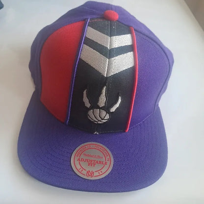 Mitchell & Ness Toronto Raptors Snapback – Panel Edition