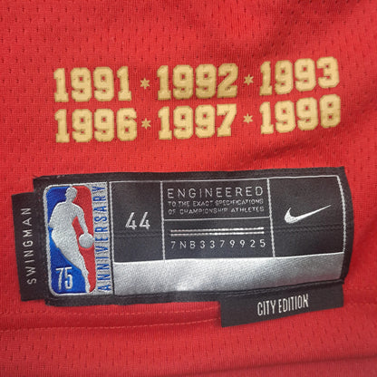 Nike NBA Jersey Chicago Bulls #8 Rot – Herren 44 (Throwback, gebraucht)
